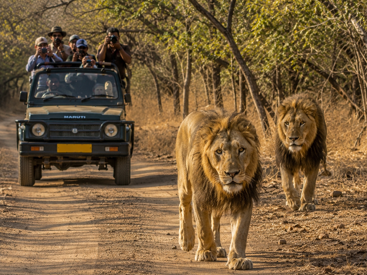 Sasan Gir